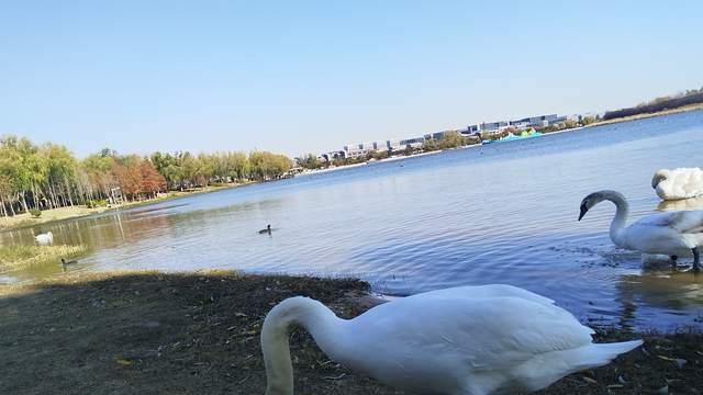 新的一年不过度操心，会做偷懒的家长，才是对孩子最好赋能与托举