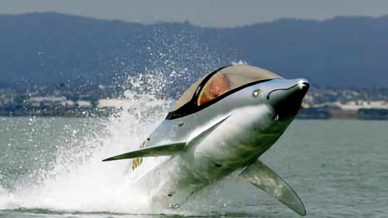 仿生学：科技向自然取经