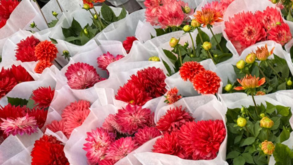 科创1号花店快闪 | 用一束花点亮冬日