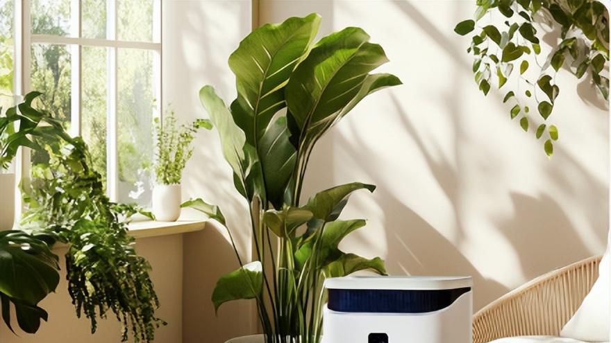 实测新颐小白 A5：空气魔硅除醛，甲醛 CADR409m³/h 分解不反弹