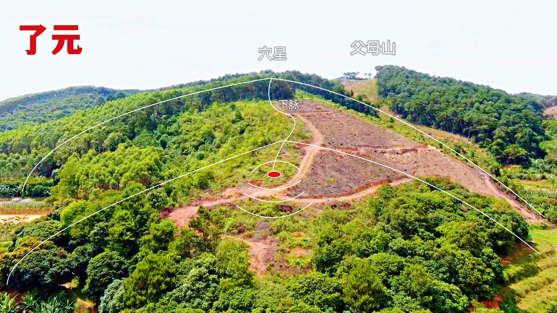 了元寻龙案例《猛虎出林》形