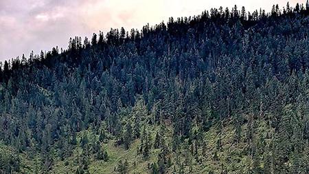 【美文欣赏】“人间瑶池”——措卡湖藏在我心底的梦