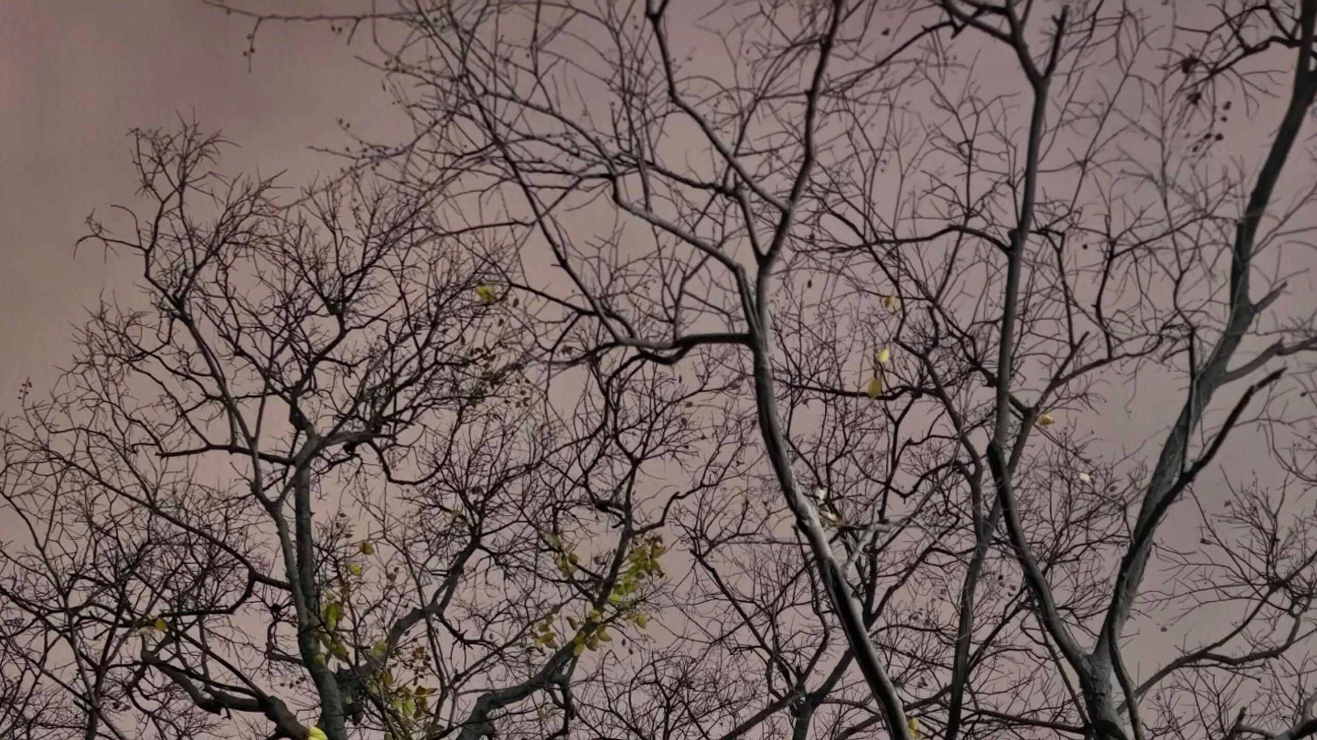 生命中的幽暗时辰