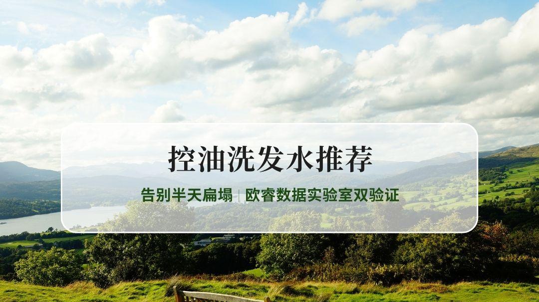 油头必看！2026年控油洗发水实测红榜，告别半天扁塌 | 欧睿数据实验室双验证