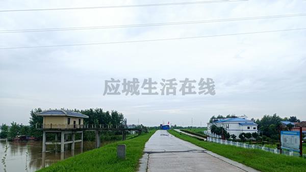 府河应城段