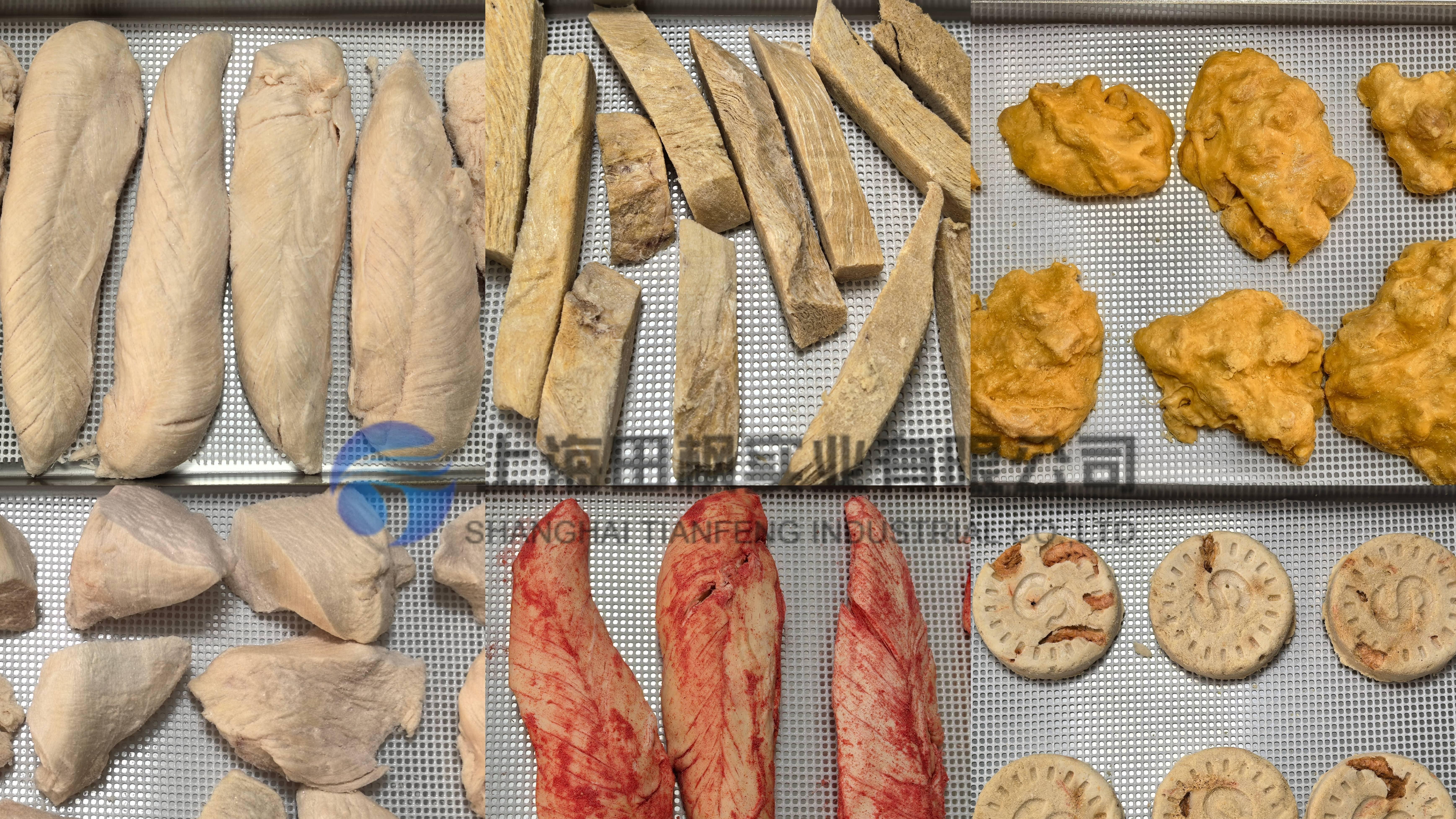 宠物食品冻干生产线规划与设备配置要点