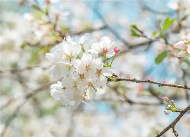 心渊（诗3首） | 霍辉