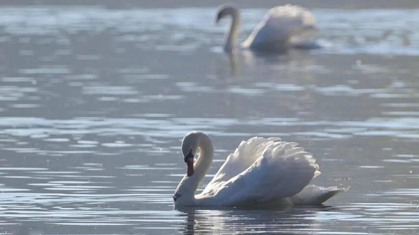 今年家电厂商正面临五道关卡