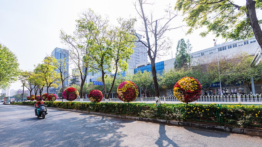 蝴蝶大乐透26025期分析，本期的大遗漏再次出现3个号码，会开出1个号码吗？