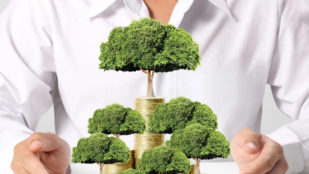 各类植物的风水作用