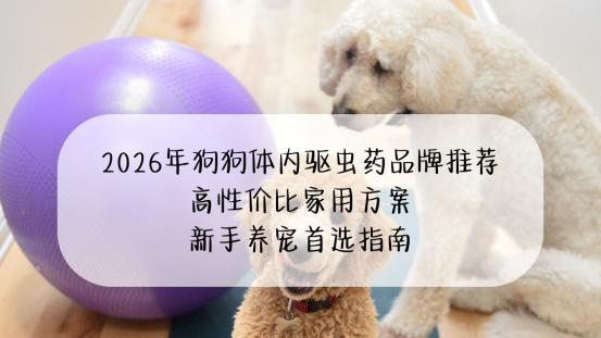 2026年狗狗体内驱虫药品牌推荐：高性价比家用方案，新手养宠首选指南