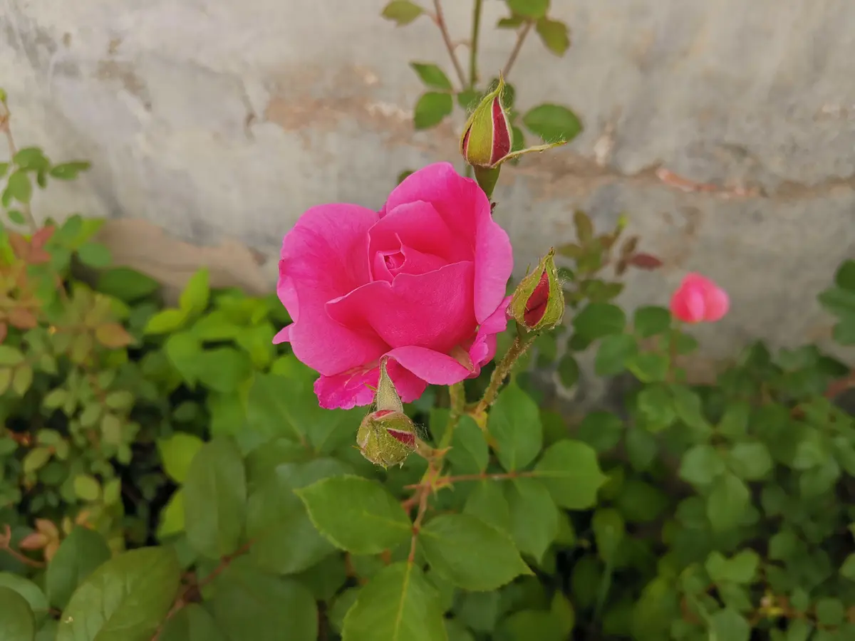 掌握四问学习法，实现知识深层迁移