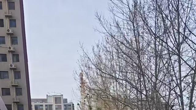 网友反映：任城区凤凰家园新能源车乱停，拥堵堪比菜市场