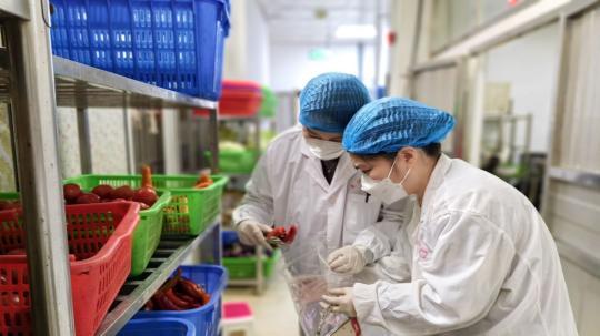 筑牢校园食品安全防线 守护师生舌尖上的健康