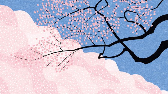 《恰如其分的孤独》：我用3个月，戒掉了“假装合群”的瘾