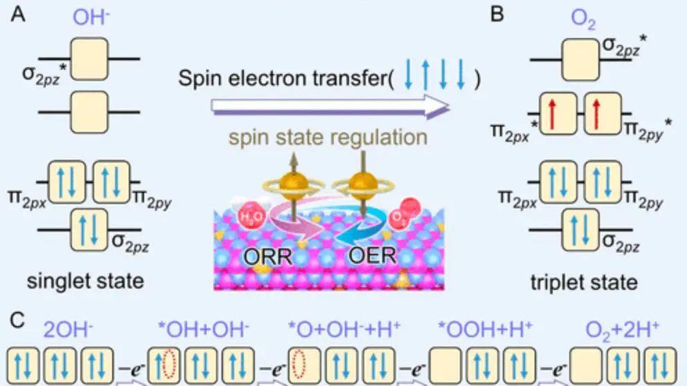 eg与t₂g轨道：电催化中过渡金属d轨道电子构型的调控机制