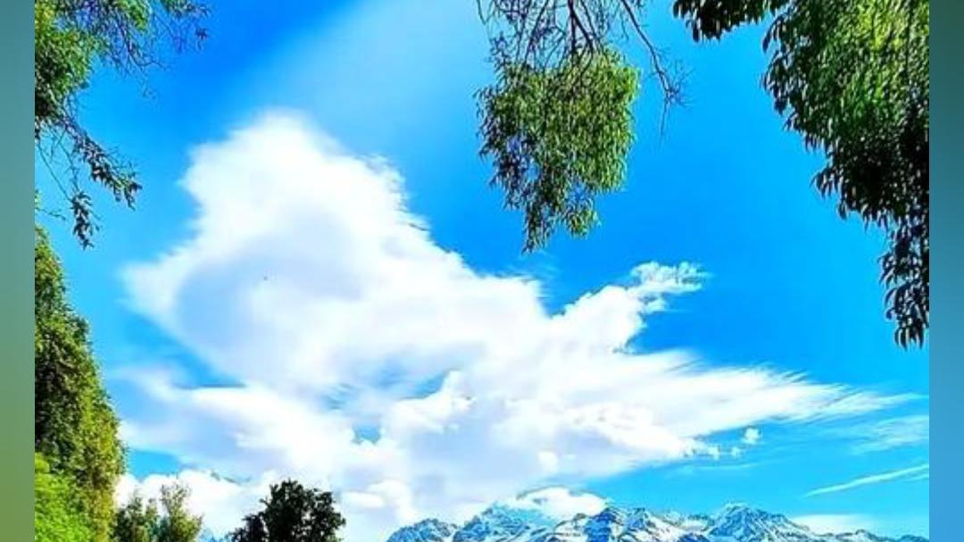 双相情感障碍会让人变成废柴吗？6个打破病耻感的关键认知。