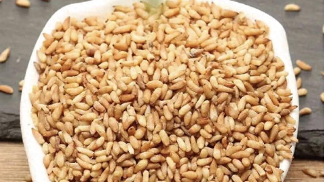 植物种仁中的安神药——柏子仁