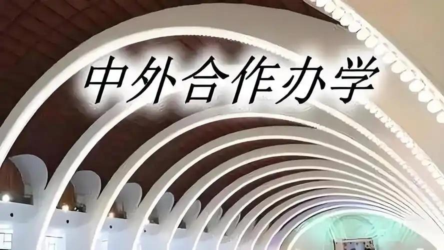 2026年高校大幅度扩招中外合作办学的原因是什么？