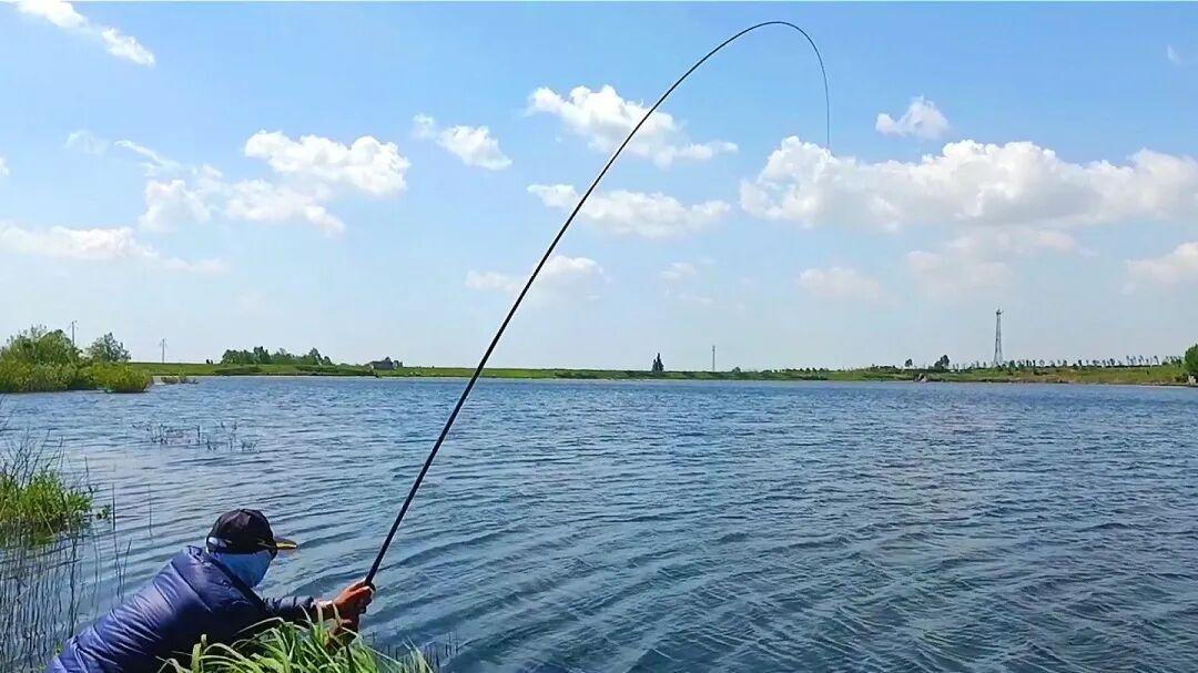 谁说黑鱼只能雷强打？手竿党：学会这套“土法子”，黑鱼是你盘中餐！