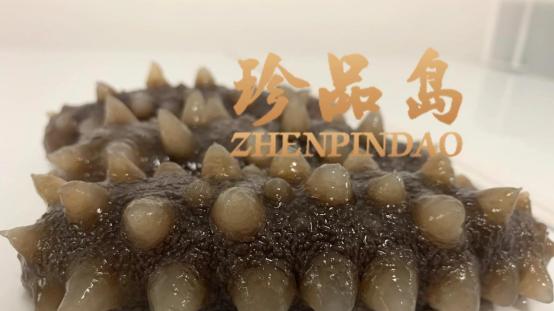 大连海参品牌前六排行榜