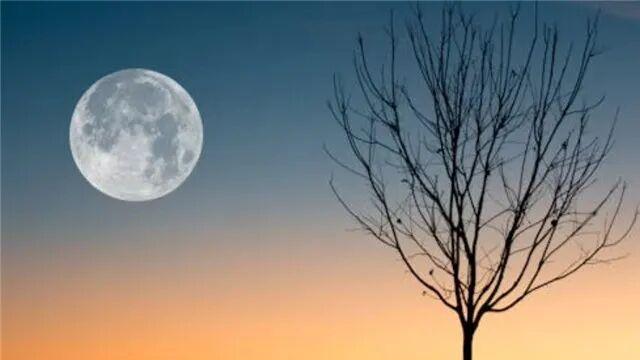 月亮（诗2首）| 顾世如