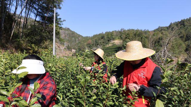 浙江泰顺：学雷锋践初心 志愿服务暖民心