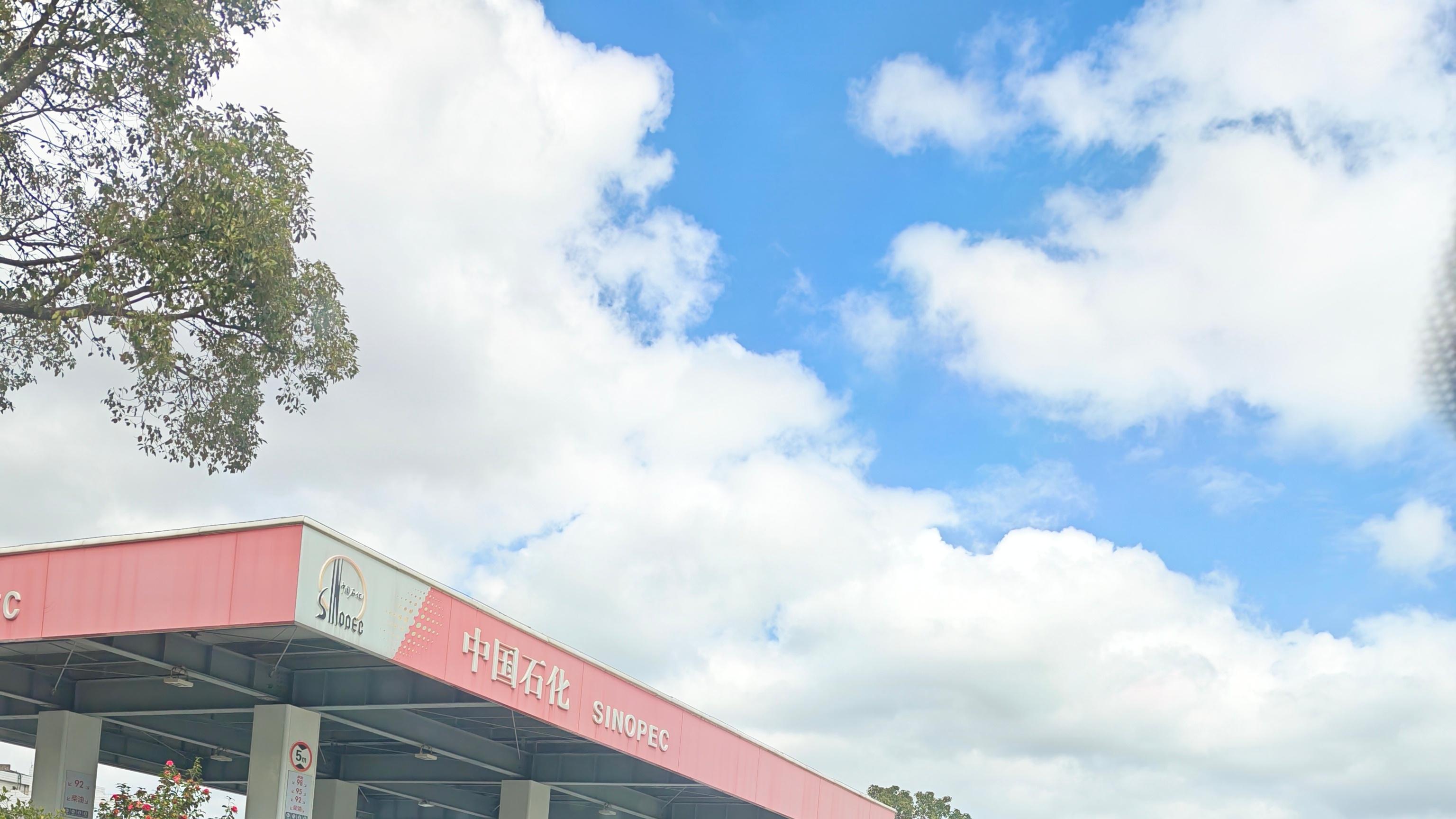 油价上涨连夜排队加油？比亚迪插混从从容容游刃有余