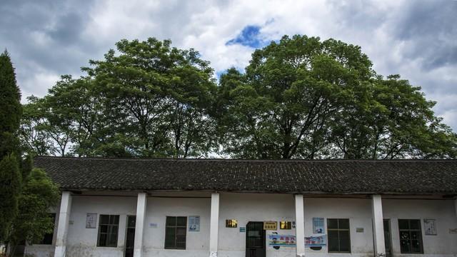 乡村老师的待遇越来越好，学生却越来越少了，为什么？