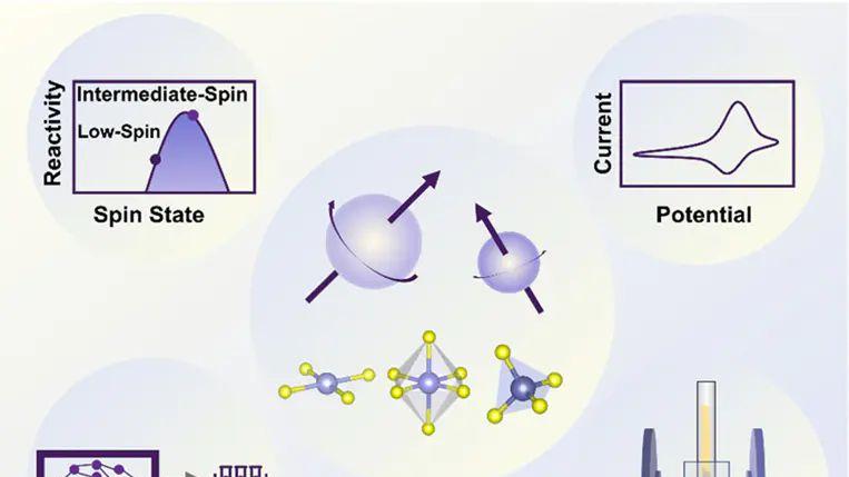 什么是自旋态？