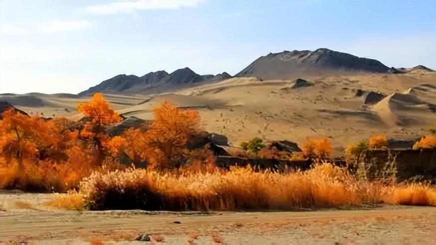 网传蒙古国稀土出口方案：拟以土地换通道 衔接对华对美贸易