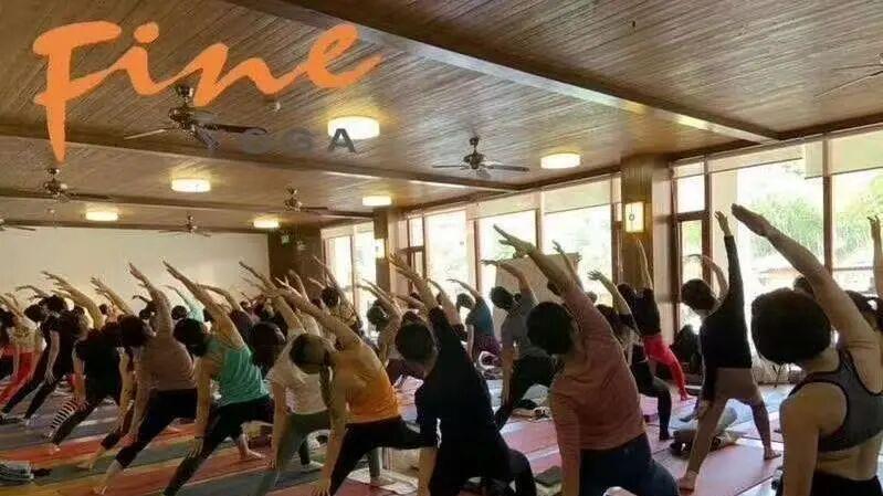 中国最早练瑜伽的那些人，哪去了？