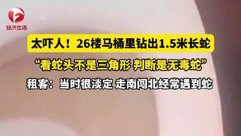 26楼马桶里钻出1.5米长蛇！租客淡定自拍