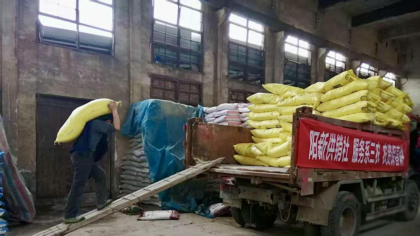 阳新：供销不断“供” 春耕不误时