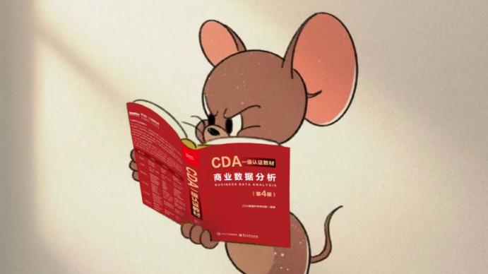 2026大专大数据与财务管理专业：高价值证书推荐与进阶攻略