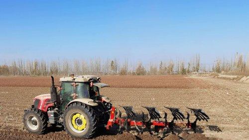 向效率要效益！钵施然液压犁抢占农时！