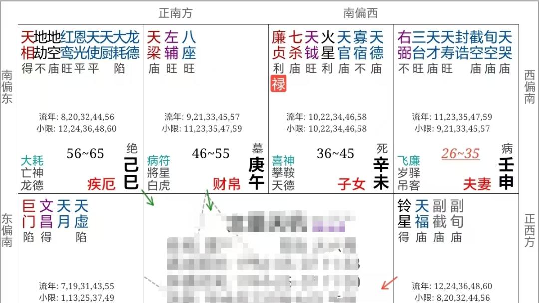 紫微斗数案例111财官：仕途与经商，哪个适合你？
