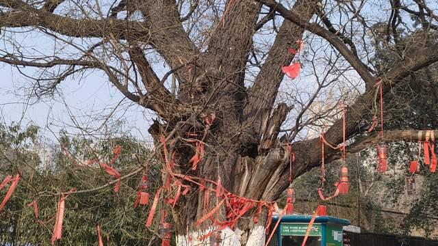 高质量的陪伴，才是最好的教育