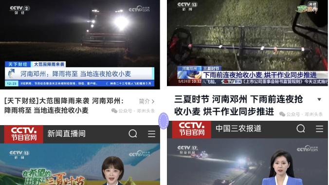 两天七登央视！邓州市小麦抢收工作获央媒密集报道