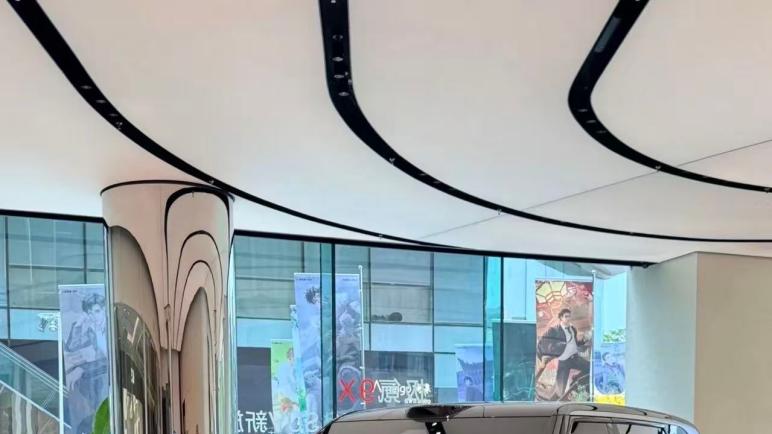 给老爹买新车，9X还是M9，选哪款？