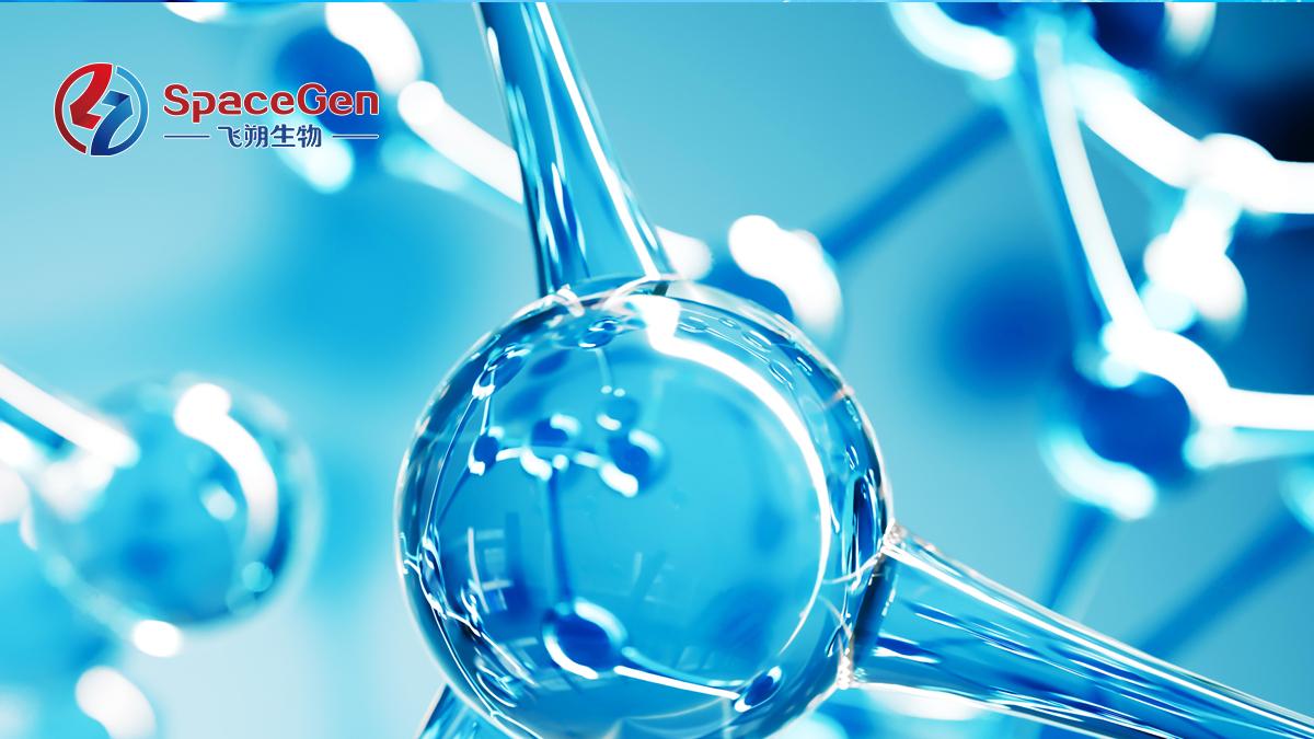 dMMR 型子宫内膜癌合并 TP53 变异的预后探索