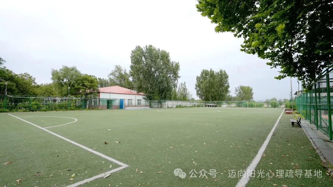 孩子叛逆、厌学、躺平？别急着放弃，迈向阳光六大核心优势告诉你：改变真的来得及