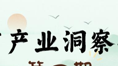 云南民宿洞察报告第四期（云南民宿协会AIGC中心)