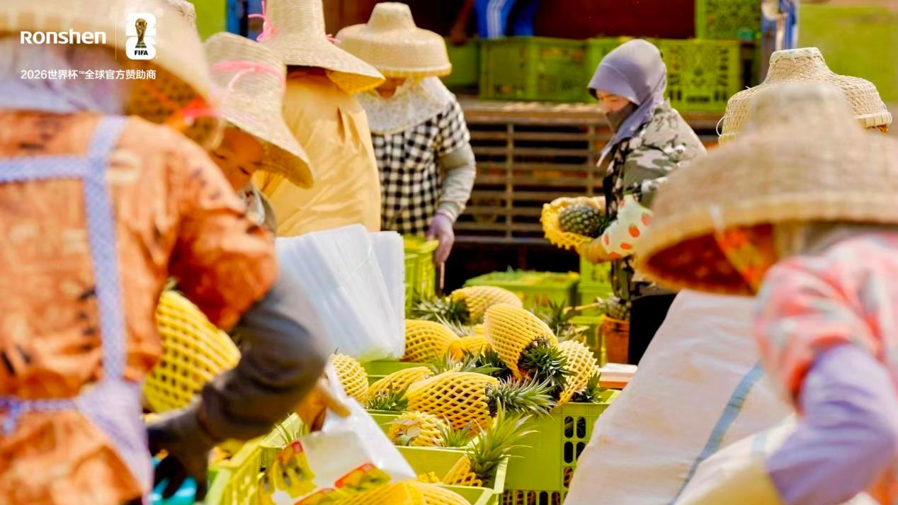容声冰箱“寻鲜之旅”走进徐闻 携手菠萝产业解锁原产地新鲜密码