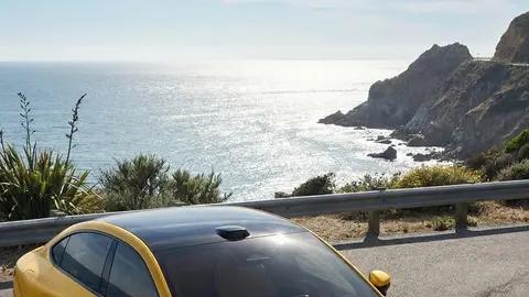 smart精灵6号多款拉花方案对比，选择困难求支招