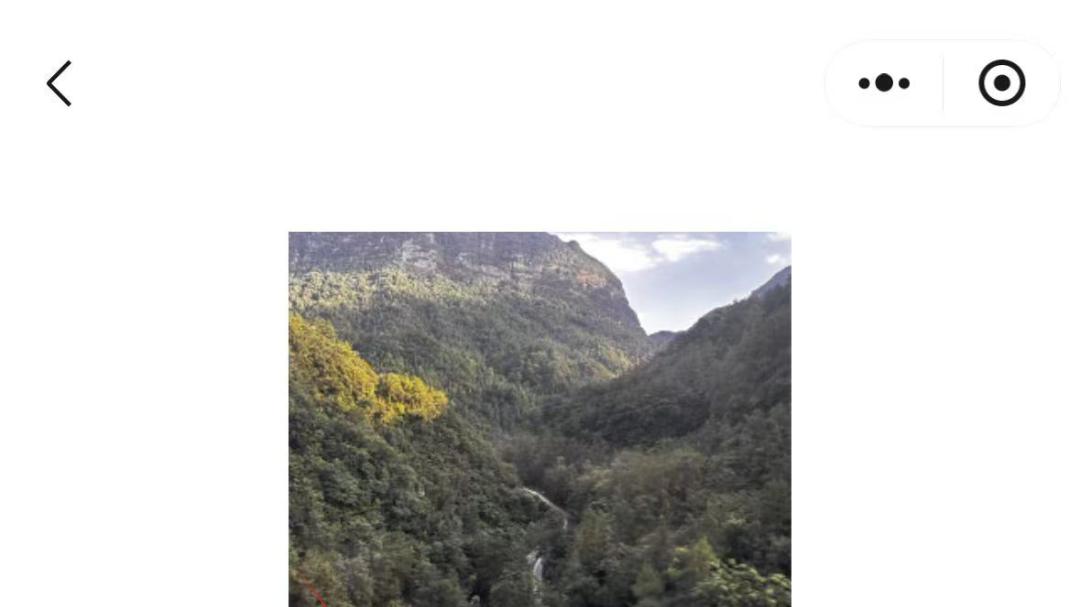 【重磅功能】微信自制表情包，有趣！