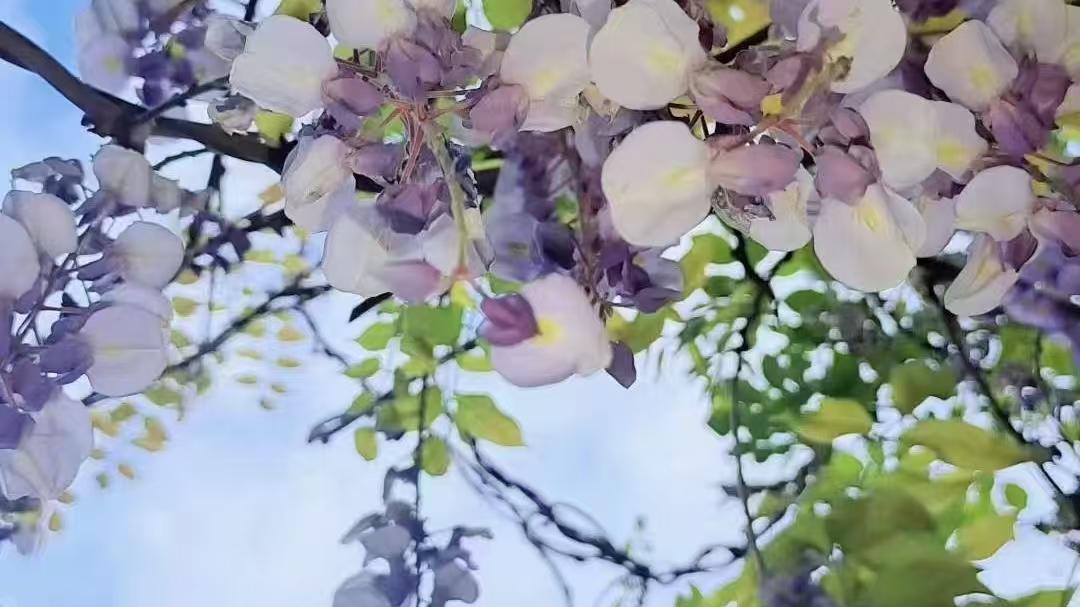 人啊，还是要活在自己的皮囊里，而不要生活在别人的看法中。