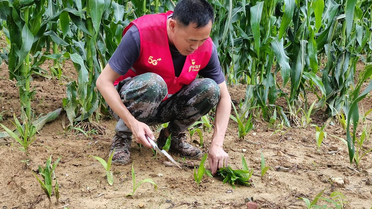 移动力量润春耕 数字乡村绘新篇