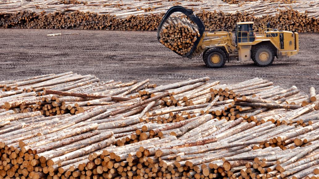 决心抛开美方，加拿大“拥抱”中国市场，双方续签木材合作文件！