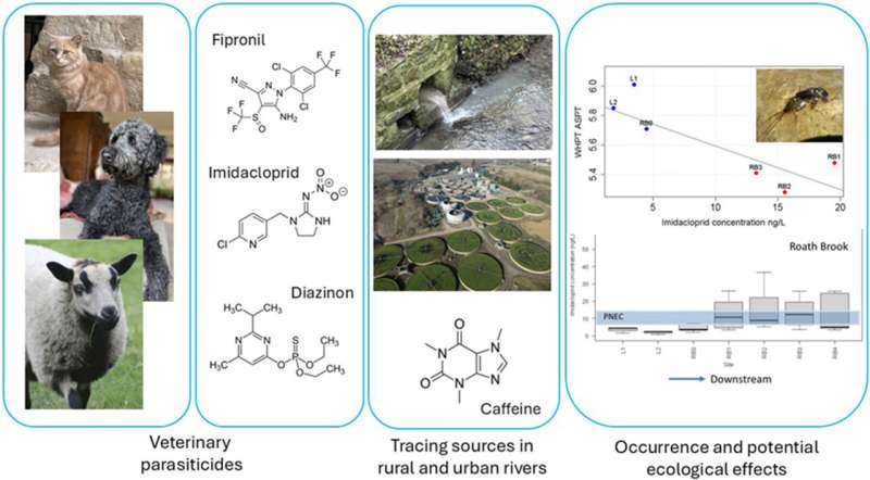 研究揭示下水道途径输送跳蚤治疗化学品导致威尔士河流农药超标